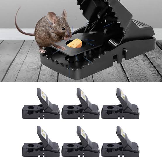 High-Efficiency Precision Mouse Snap Trap